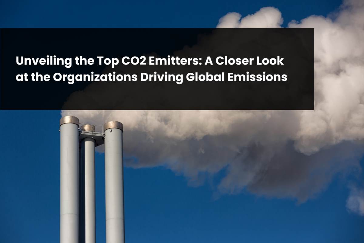 Unveiling the Top CO2 Emitters: A Closer Look at the Organizations ...